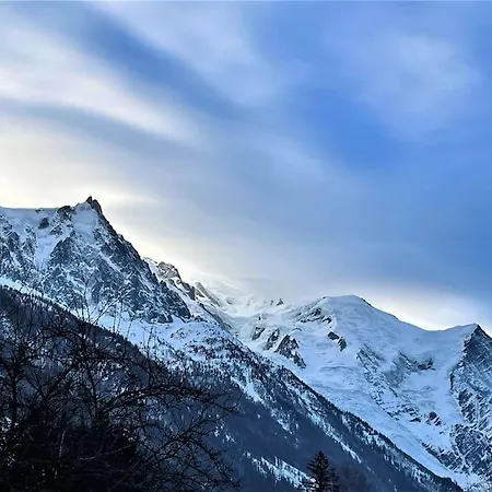 Typique De Montagne *