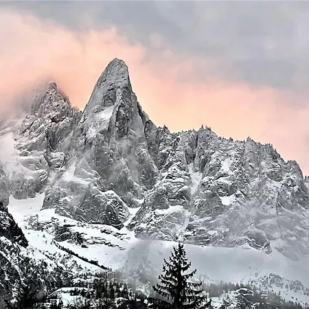 Typique De Montagne Chamonix